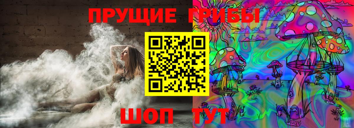 Галлюциногенные грибы Psilocybe Волжский